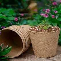 화분포트 종이포트 육묘컵 삽목상자 펄프 10개 원형 10cm, 단일옵션
