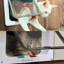 양방향 고양이 펫도어 견문 방묘문 중문 개문 베란다, 브라운