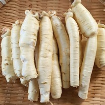 금산인삼도매센터 세척수삼 난발삼 원수삼 홍삼제조용 실속형파삼 4년근이상 생인삼 국내산100%, (세척)알뜰수삼, (세척)몸통삼750g