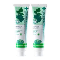 덴티스테 플러스화이트 치약 160g / 입냄새 구취제거, 2개입