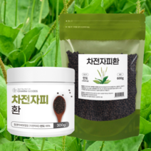 차전자피 환 300g 600g 질경이 씨앗 껍질 인도산 95% 식이섬유 풍부한 환 형태 포만감 가득, 300gX3개