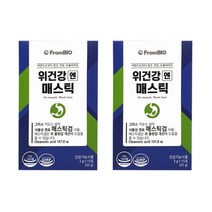 위건강엔 이병헌 선전 광고 메스틱정 매스틱가루 매스틱껌 메스틱검 매스틱정 2박스