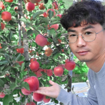 경북사과 껍질째 먹는부사 가정용 흠집 못난이꿀사과 사과유명한곳 늘봄농원, 사과 실속)중과16~18과