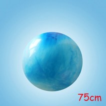 강아지짐볼 55 cm65 cm75 cm 장미 빛 구름 요가 공 pvc fitball 필라테스 운동 균형 공 피트니스 공 방폭 ballon, 블루 75cm