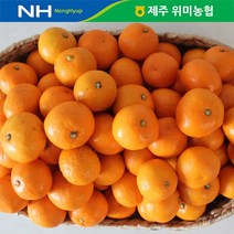 제주 위미농협 노지 감귤 10kg/일반, 없음