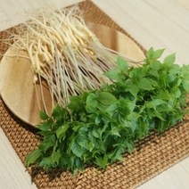 스마트팜 수경재배 새싹인삼 특대 100뿌리, 기본포장