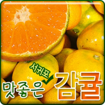서귀포농원 23년 첫수확 고당도 비가림 하우스 감귤 5kg 10kg, 1개, 고당도 비가림 하우스 감귤 7.5kg프리미엄과(S)