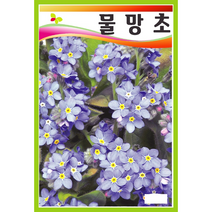 물망초 꽃씨앗 150립