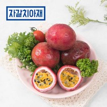 자갈치아재 냉동 패션후르츠 1kg 1개