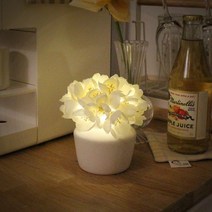 [비아케이] 화이트 릴리 LED 무드등, 단품