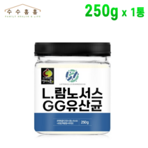 L 람노서스 GG 유산균 분말 가루 덴마크산 락토바실러스 프로바이오틱스 프락토올리고당 프리바이오틱스 수수홈홈, 1개, 250g