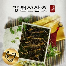 강원산삼초 강원도 명품 산양산삼 6-7년근 산양산삼먹는법 산삼효능, 1세트, 산양산삼 6-7년근 (5주)