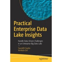 (영문도서) Practical Enterprise Data Lake Insights: Handle Data-Driven Challenges in an Enterprise Big D... Paperback, Apress, English, 9781484235218