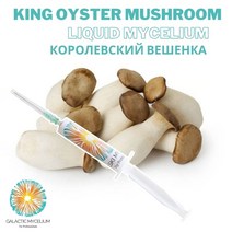 이식기 파종기 들깨 참깨 옥수수 칠면조 꼬리 버섯 액체 배양 액체 주사기 액체 균사체, 주사기(5cc)