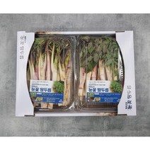 강원도 두릅 봄나물 땅두릅 산지직송, 500g