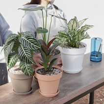 작은정원 홈가드닝 베란다 물빠짐 국산 화분 2호 4호 5호 힐링 감성 실내 인테리어, 브라운