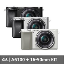 (정품)소니 A6100 + 16-50 KIT / 리안, 실버