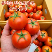 유럽종 완숙 찰 토마토, 2kg(중), 1개