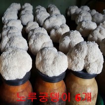 무농약 노루궁뎅이 버섯키우기 6개 친환경 버섯 배지 가정 유치원 어린이집 키트 체험