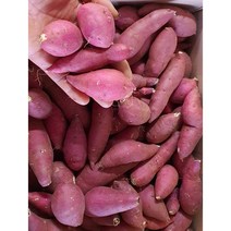 알뜰농장 2023년 햇 꿀 밤고구마 소소 쫄 한입크기 고당도 상품(가장작은크기) 5kg 10kg 20박스한정 전남 해남.무안작업, 2023 햇꿀밤고구마 소소 한입 5kg내외, 1box