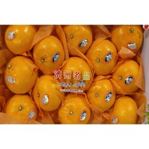 제주 천혜향 3kg