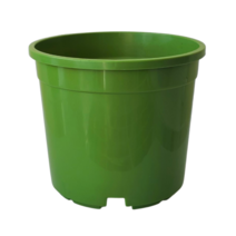 컬러포트 플라스틱 pp 화분 7색, 초록