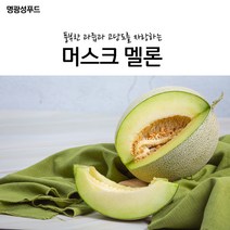 명광성푸드 풍부한 과즙과 고당도를 자랑하는 머스크 멜론, 7~8kg, 아이스팩+아이스박스