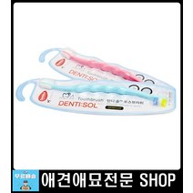스케일링 끝난 애완동물 홈케어하는 애완칫솔 강아지털관리 털빗 죽은털제거 포메라니안브러쉬 애견브러쉬