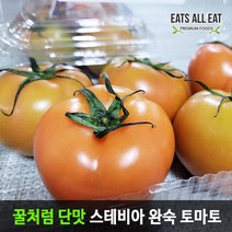이츠올릿 프리미엄 꿀맛 스테비아 완숙 찰 토마토 1kg 산지직송 단 토망고, 스테비아방울토마토(500gx1팩）