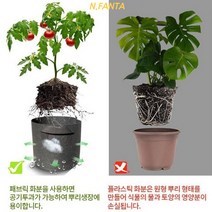 부직포 화분 식물 블루베리 키우기 소 30x25 고구마 감자 블루베리 모종 키우기 베란다 텃밭 흙 담기 화분, 단품, 단품