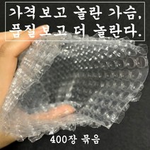 포장용 뽁뽁이 에어캡 봉투 다양한 사이즈 400장 소형 대형, 30 x 30