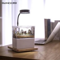베타키우기 엔젤피쉬 나비파파 블랙고스트 하프문 키우기 오란다금붕어 구피 해수어항세트 해수 4929998849, A 옵션이미지 참조