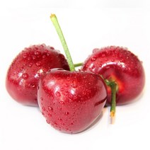 생 체리 항공직송, 1box, 체리(10Row) 1kg