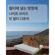 에어컨 필터에 넣는 차량용 방향제 나이트 브리즈 인 필터 디퓨저, 레드프룻