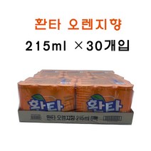 환타 오렌지 215ml x 30캔 탄산음료, 30개