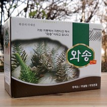 엄마애손 와송즙 1 box (100ml x 60팩), 60팩, 100ml
