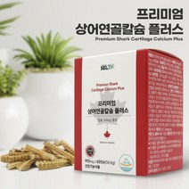 상어연골칼슘플러스 캐나다 잇몸뼈 치아 잇몸내려앉음 잇몸영양제3병 대용량3개월분