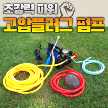 이동형 고압 양수기 펌프 12V48V60V220 볼트 고전압 농업용 전기 분무기 농약 제초제 살충제 방제 방역 살포기, 220V플런저펌프10m고압 파이프