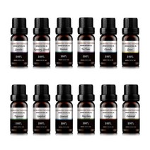 브랜드없음 아로하트리즈 고농축 에센셜 아로마오일, 스위트오렌지