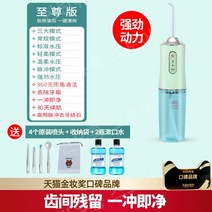 휴대용 무선 구강세정기 치석 치간 세척기 물치실 치아세정기 가정용 세척기, 그린