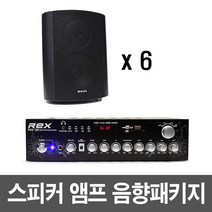 패션스피커 블랙 6p + 앰프 pc선 + 로우앰프 + 3.5외부입력잭, 앰프(REX-204)