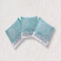 미니아이스팩 휴대용 부직포얼음팩, 3개
