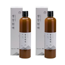 [청농] 매운맛을 없앤 생강원액 생강청 600ml x 2병