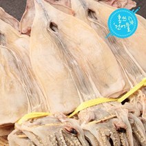 홍쓰건어물 동해안 마른오징어 20마리, 20마리1봉, 600g