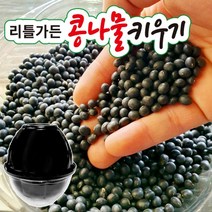 콩나물 키우기 키트-국내산 쥐눈이콩 식물 재배기, 단품