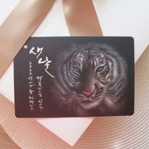 기타 손글씨 민화 연하장 엽서세트 J 5EA - 흑호지몽, 단품
