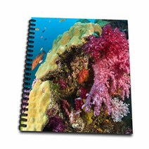 3dRose db_74815_1 Scuba Diving Similan Islands Thailand AS36 SWS0111 Stuart Westmorland Drawing Bo, 1