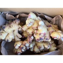 영주 햇생강 생강시세 국산생강 황토생강 3kg 생강효능, 단품