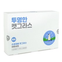고양이식물 수경재배 캣그라스 캣닢 간식 캣닢추천