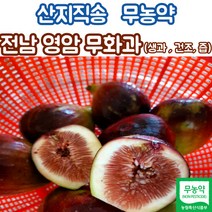 산지직송 무농약 영암 무화과 생무화과 1kg 2kg 반건조무화과 무화과즙, 무화과즙_100봉